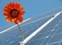 parcuri fotovoltaice