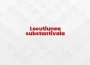 locutiunea substantivala