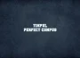 timp perfect compus
