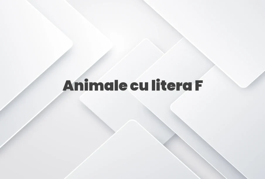 animale cu litera f