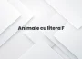 animale cu litera f