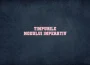 timpurile modului imperativ