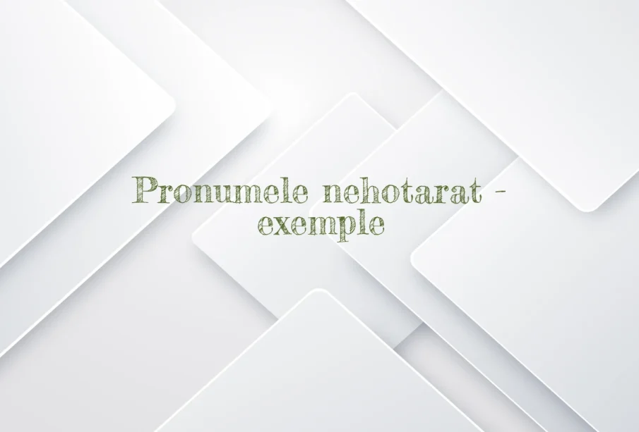 pronume nehotarat exemple
