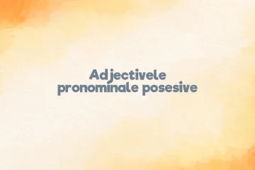adjective pronominale posesive