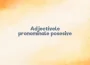 adjective pronominale posesive